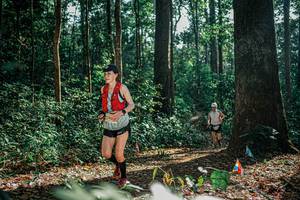 BIB: 
                            <button type="button" onclick="openModal(26077686)" class="btn btn-primary btn-sm float-right btn-popup" data-toggle="modal" data-target=".modal-high-quality">
                        <i class="fas fa-shopping-cart"></i> Add to Cart
                    </button>
                                            <button type="button" onclick="isThisMe(26077686, true)" class="btn btn-success btn-sm float-right btn-popup btn-isme hidden" data-toggle="tooltip" data-placement="bottom" title="นี่คือรูปของคุณใช่ไหม คลิกที่นี่เพื่อเอาเข้าอัลบั้ม">
                        <i class="fas fa-plus"></i> Add to album
                    </button>
                    <button type="button" onclick="isThisMe(26077686, false)" class="btn btn-warning btn-sm float-right btn-popup btn-isnotme hidden">
                        <i class="fas fa-ban"></i> Remove from album
                    </button>